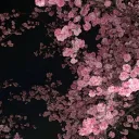 【 𝑵𝒖𝒐𝒊𝒆 𝑺𝒕𝒐𝒓𝒆 】