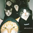 𝕃𝕒𝕘 & ℂ𝕙𝕚𝕝𝕝 🎮