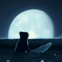 kodi's me bro Discord server icon