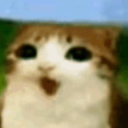 Fuzz Shaker Central Discord server icon