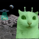 Silly Cat Planet Discord server icon