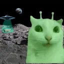 Silly Cat Planet