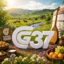 Ұйымдар 37 | Grand Mobile