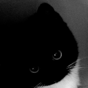 검은 냥이 Discord server icon