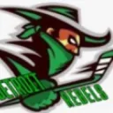 Detroit rebels