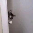 みんなでかいへんしよう