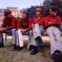 ᴍᴏɴᴋᴇᴇᴍᴀɴɪᴀ 🐒 Discord server icon