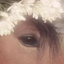 Cinnamon Hooves