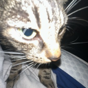 ALEX’S CITY Discord server icon