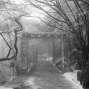 Empire of Embers Discord server icon