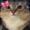 Catto Discord server icon