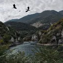 Aphmau: Minecraft Diaries | Roleplay discord icon