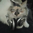 ✟𓁹†⛧ 𝐵onded B¥ 𝐵l00d †⛧𓁹✟ Discord server icon