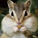ChubbyCheeks