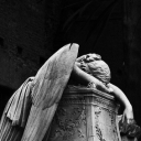 𝐒𝟑𝐑𝟏𝐒𝟑𝐃