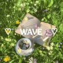 ♡﹒WAVES . 𓂃