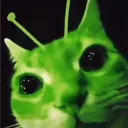 Meow