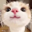 서버 이전