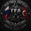 Task Force Anatolia | TFA Discord Server Icon