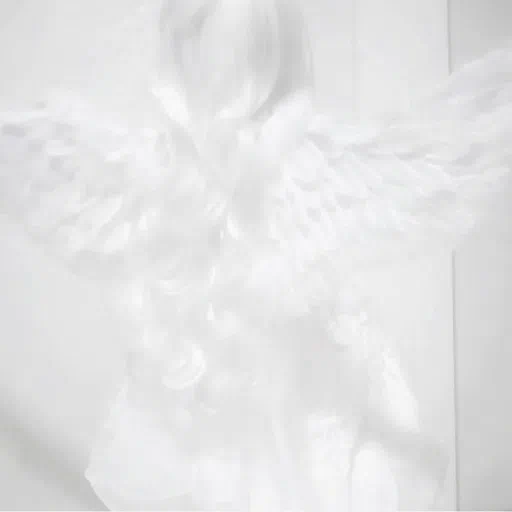 ഒ ᥴᥲᥱᥣιᥲ 𓂃 — мониторинг Discord сервера, статистика и рейтинг