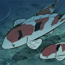 The koi pond