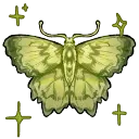 Polillas (nottcursedd server)