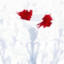 Rebirth