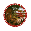 🌲 ꒰ CAMP FREEBIRD  ⁞ Discord Server
