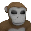 Starving Apes