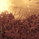 ⟢﹒ 花  - ꜱᴇɴʙᴏʜᴀɴᴀᴍɪ ʜɪɢʜ . . Discord server icon