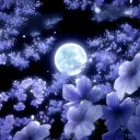 Starlights Galaxy ᯓ★ discord icon