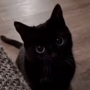 RoPay Discord server icon