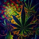 420 Community