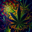 420 Community