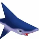 Shork‘s Domain