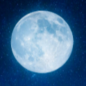 🌐 EUPHORIA #GWS Discord server icon