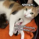 В обители загнанных в угол Discord server icon