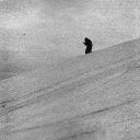 𝔗𝔯𝔳𝔢 ℜ𝔦𝔱𝔲𝔞𝔩 𝔐𝔲𝔰𝔦𝔠 Discord server icon