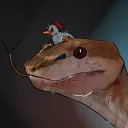 Field Herping
