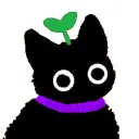 THE BLACKCAT RECOVERY PROJECT