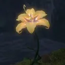 noura's server Discord server icon