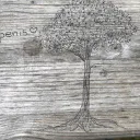 THE GREAT TREE