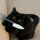 The condom cult Discord server icon