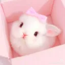 𓍢ִ໋🌷͙֒Pink bunni ૮ ˶ᵔ ᵕ ᵔ˶ ა