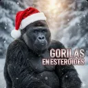 🦍🔶GORILAS  HUB🔶🦍