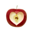 ꉂ`🍎`˖ *Apple orchid # 16+