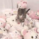 🫧 ∘₊ 𝐜𝐮𝐭𝐞 𝐜𝐡𝐚𝐨𝐬 ₊∘ Discord server icon