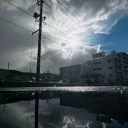 m!.鯖