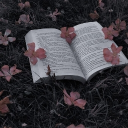 ۩۞۩ 𝚃𝚑𝚎 𝚂𝚒𝚕𝚟𝚎𝚛 𝚂𝚞𝚖𝚖𝚒𝚝 ۩۞۩ Discord server icon