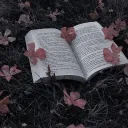 ۩۞۩ 𝚃𝚑𝚎 𝚂𝚒𝚕𝚟𝚎𝚛 𝚂𝚞𝚖𝚖𝚒𝚝 ۩۞۩